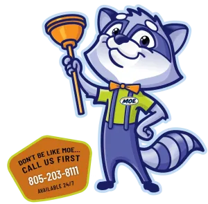 moe raccoon 