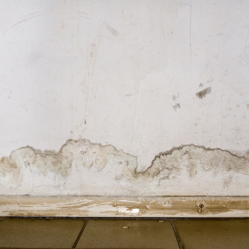 Damaged wall with visible mold and water stains above a tile floor.
