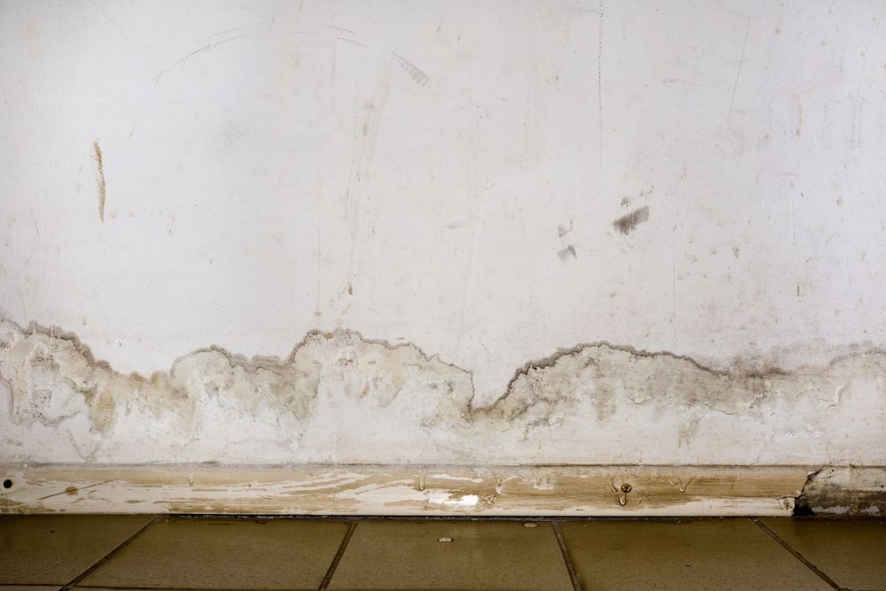 Damaged wall with visible mold and water stains above a tile floor.