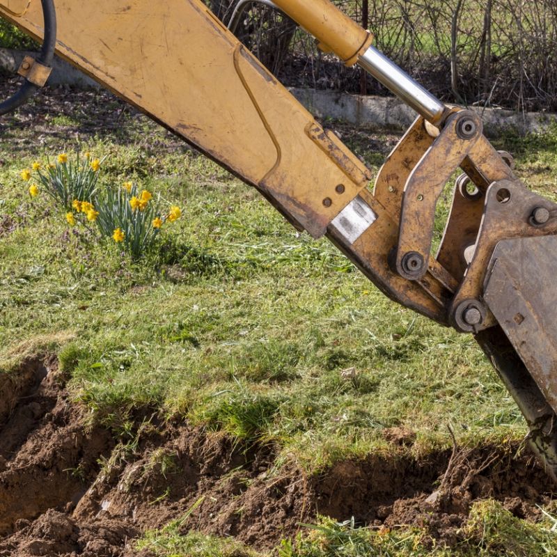 Excavator digging soil in a garden with blooming yellow flowers, spring construction site.