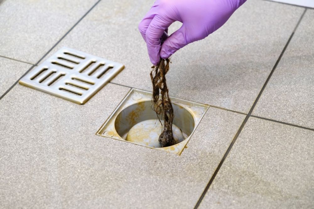 Gloved hand removing hair clog from floor drain for cleaning and maintenance.